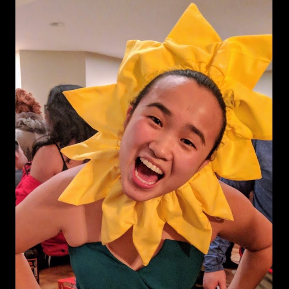 Sunflower Halloween Costume